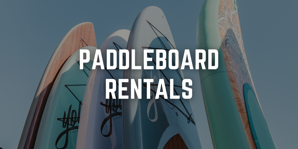 YOLO Paddle Board Rentals