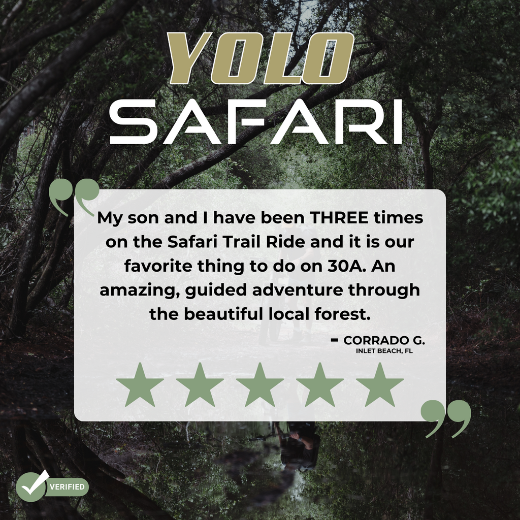 Safari Trail Ride
