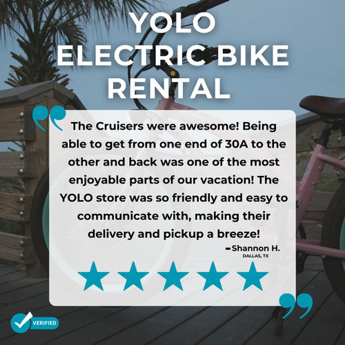 Yulu electric bike online rental