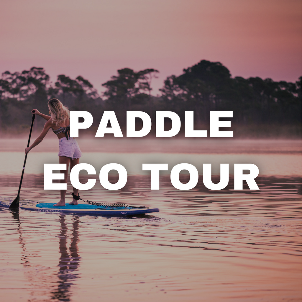 Paddling Eco-Tour
