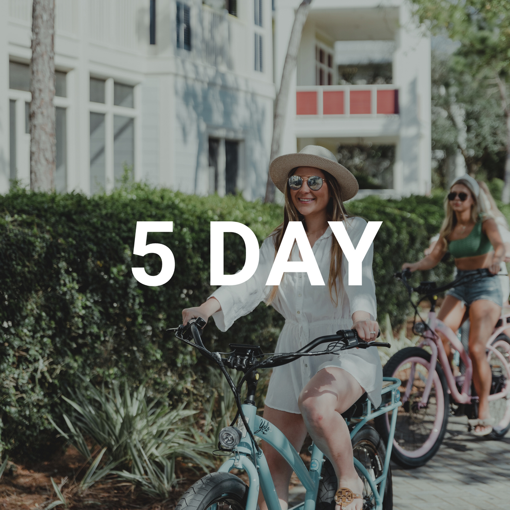 5 Day Electric Bike Rental (Free Delivery)