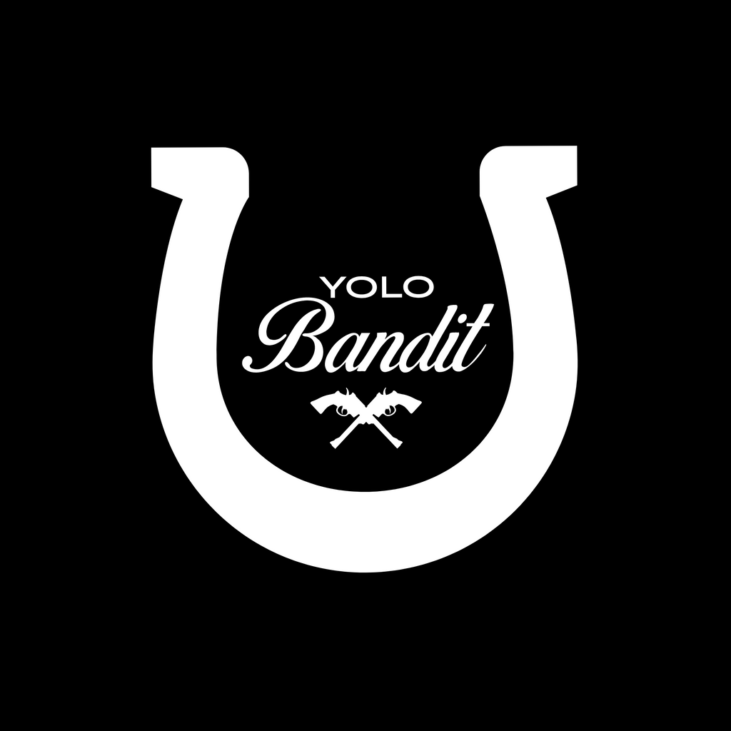 YOLO Bandit Folding Fat Tire Electric Bike Black